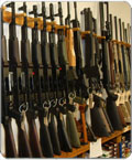 Virginia Gun Background Check Law