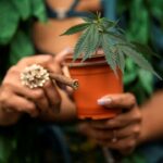 The Supreme Court will decide whether a federal law banning marijuana users from owning guns violates the Second Amendment, a case that unites unlikely allies on both sides.